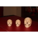 Skull Set for Chop Cups
