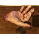 Hand of Glory