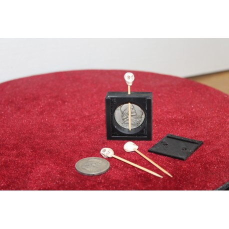 Voodoo coin Penetration Box Ltd. Edition