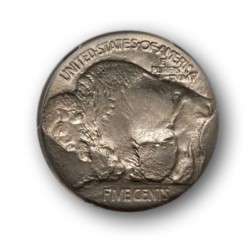 Real Nickel Shells Heads or Tails